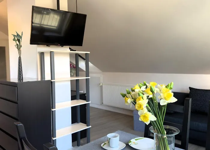 Schmuckstueck In Apartamento